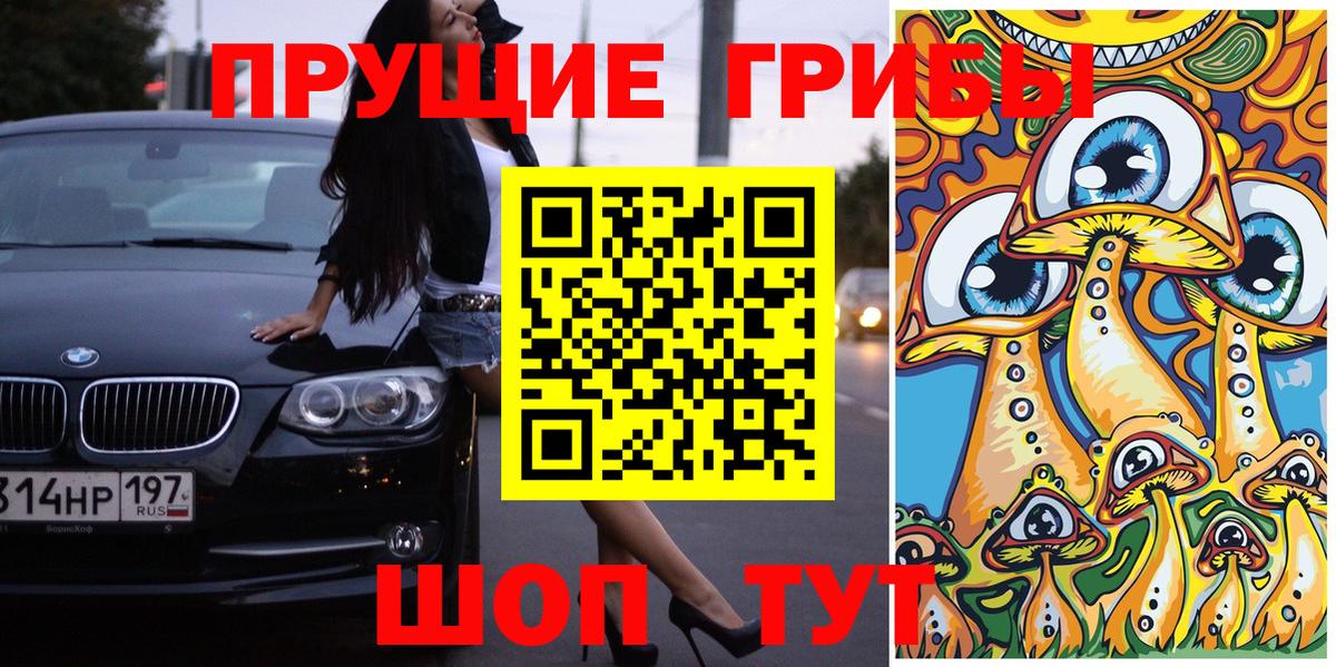 Псилоцибиновые грибы GOLDEN TEACHER  Вход с VPN  Белая Калитва 