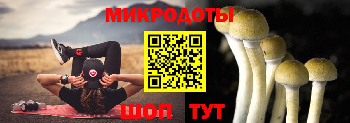 Галлюциногенные грибы Psilocybine cubensis Белая Калитва